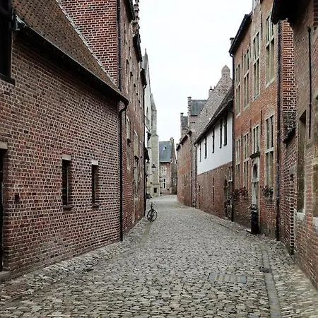 Ruimte Voor Rust Vlakbij Station En Centrum * Leuven